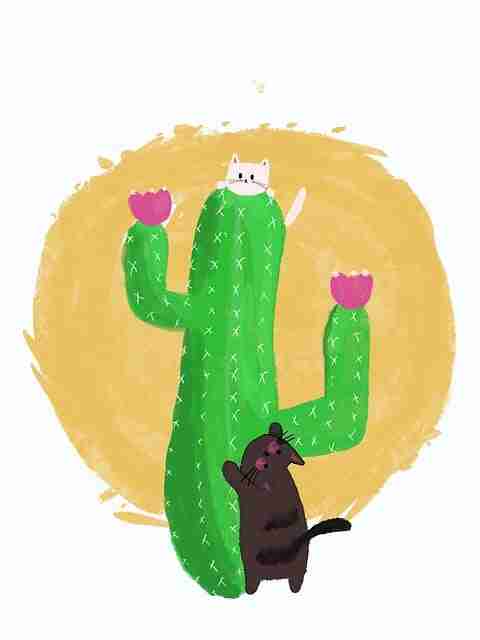 每日大赛在线观看——赛场花絮技术解密背后真相