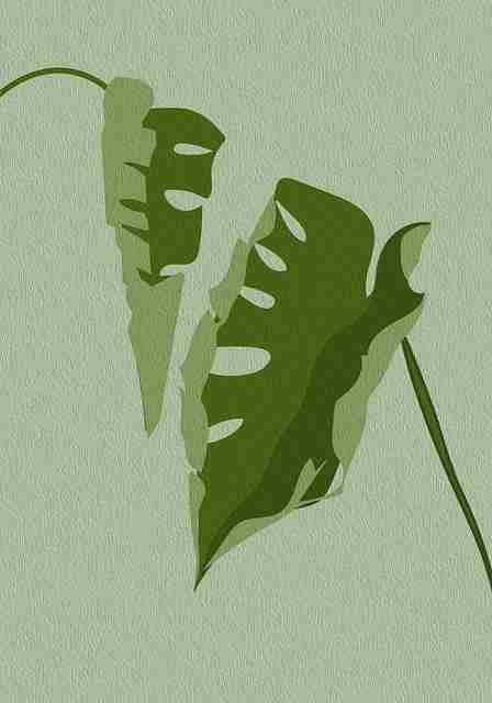 情报汇编《暗网禁地》钓鱼陷阱核心要点