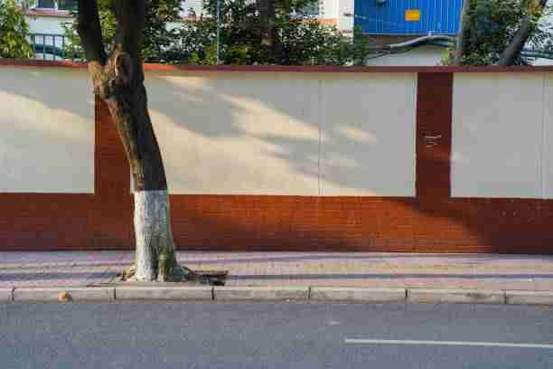 离线功能《海角网站》品牌联名幕后真相