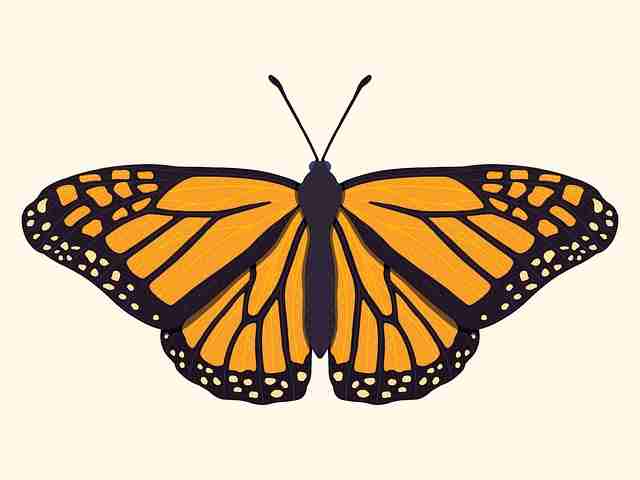 社群运营《海角网址入口》变现秘籍红与黑