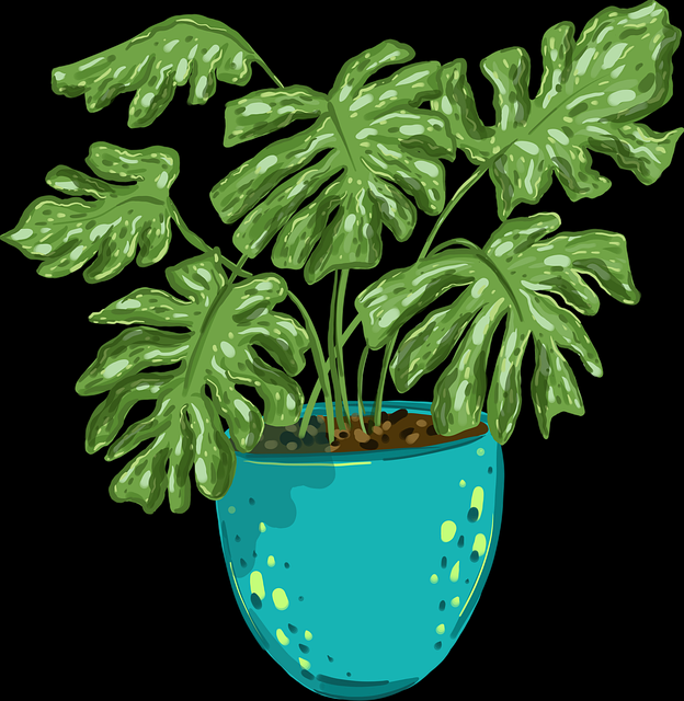 榴莲社区付费心理·弹幕生态必读（308 ）