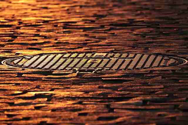 蘑菇影视在线观看深度解析·话题升级必读